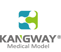 康為(wei)醫(yī)療(liao)