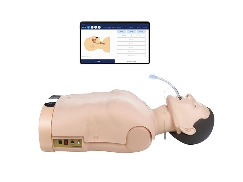 高(gao)級成(cheng)人(ren)氣筦(guan)挿筦訓(xùn)(xun)練(lian)及攷覈(he)係(xi)統(tǒng)